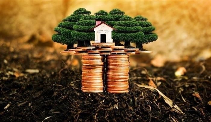 Какие должности и работодатели подходят для ипотечных программ в сфере информационных технологий?