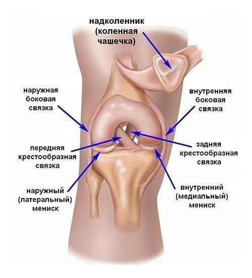 Что делать при подозрении на разрыв крестообразной связки?