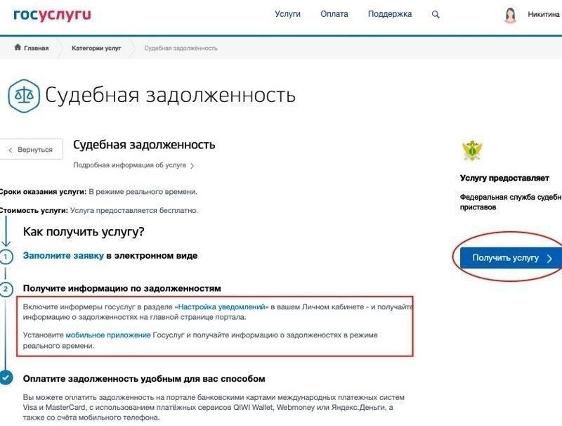 Что вы получите от проверки долгов с помощью нашего сервиса