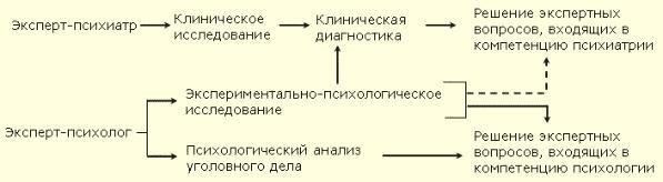 Этапы процесса психиатрической экспертизы