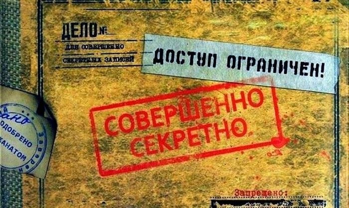 Роль ЧК в формировании ранних механизмов контроля над информацией