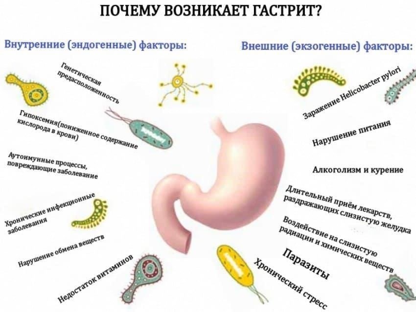 Как факторы образа жизни влияют на прогрессирование гастрита и гастродуоденита