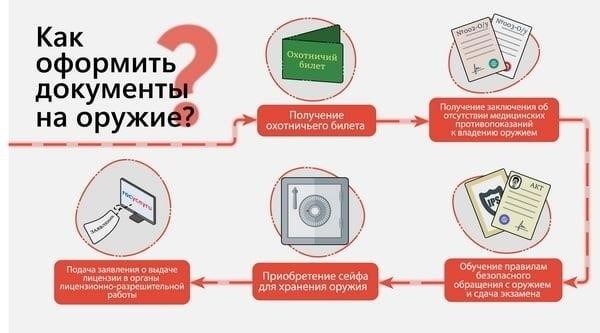 Как подать заявку на получение охотничьей лицензии онлайн