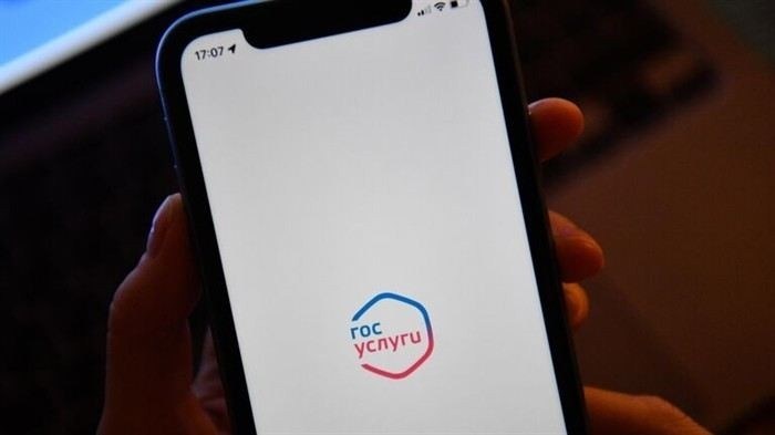 Запрос информации через интернет-порталы государственных услуг