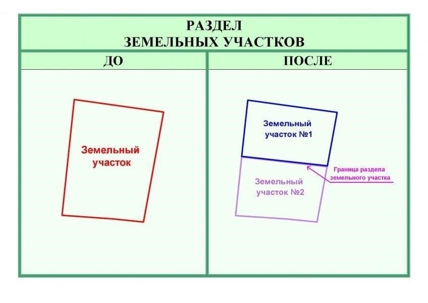 Как законно разделить земельный участок на доли