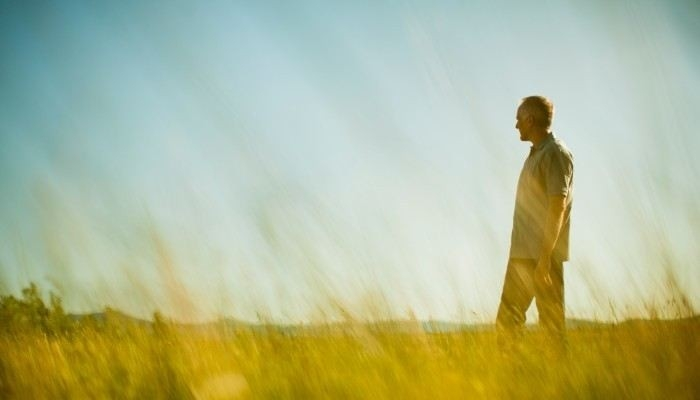 Как присваивают категорию Д и что это значит?