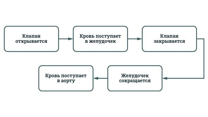Что нужно учесть при подаче заявки на освобождение от призыва с регургитацией?