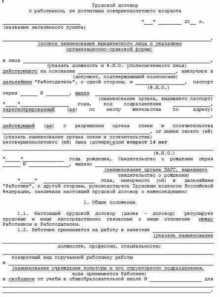 Обзор изменений в шаблоне трудового договора к декабрю 2024 года