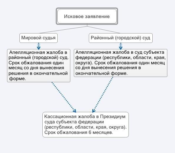 Основания для подачи жалобы после решения Верховного апелляционного суда
