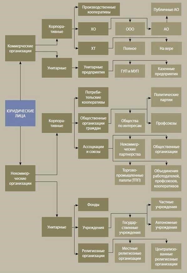 Особые виды юридической защиты и прав