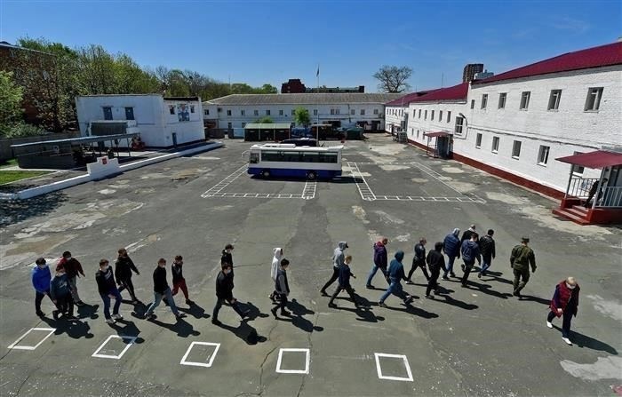 Процесс подачи заявления на отпуск или приостановку работы во время мобилизации