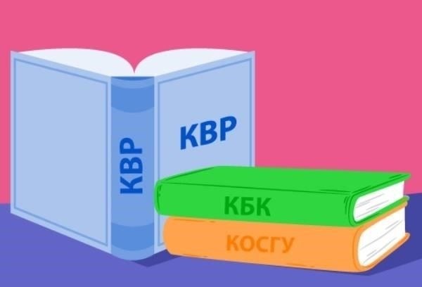 Пояснения к KVR 119 для бюджетных учреждений