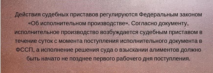 Понимание юридических шагов по принудительному взысканию алиментов