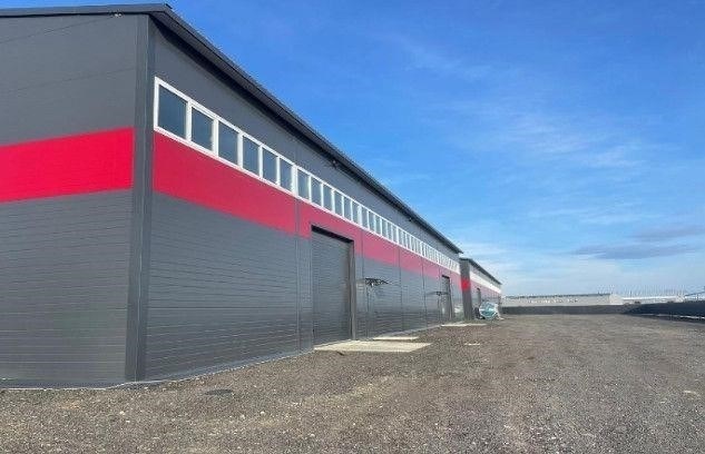 Понимание условий аренды торговых площадей в Ленинградской области