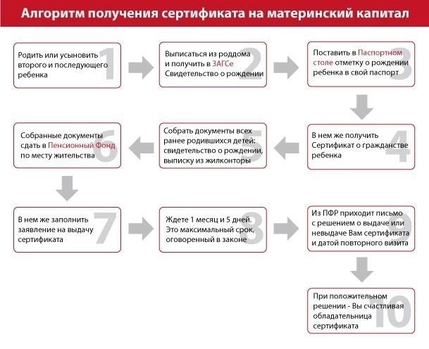 Пошаговый процесс получения доступа к информации о материнском капитале на официальном портале