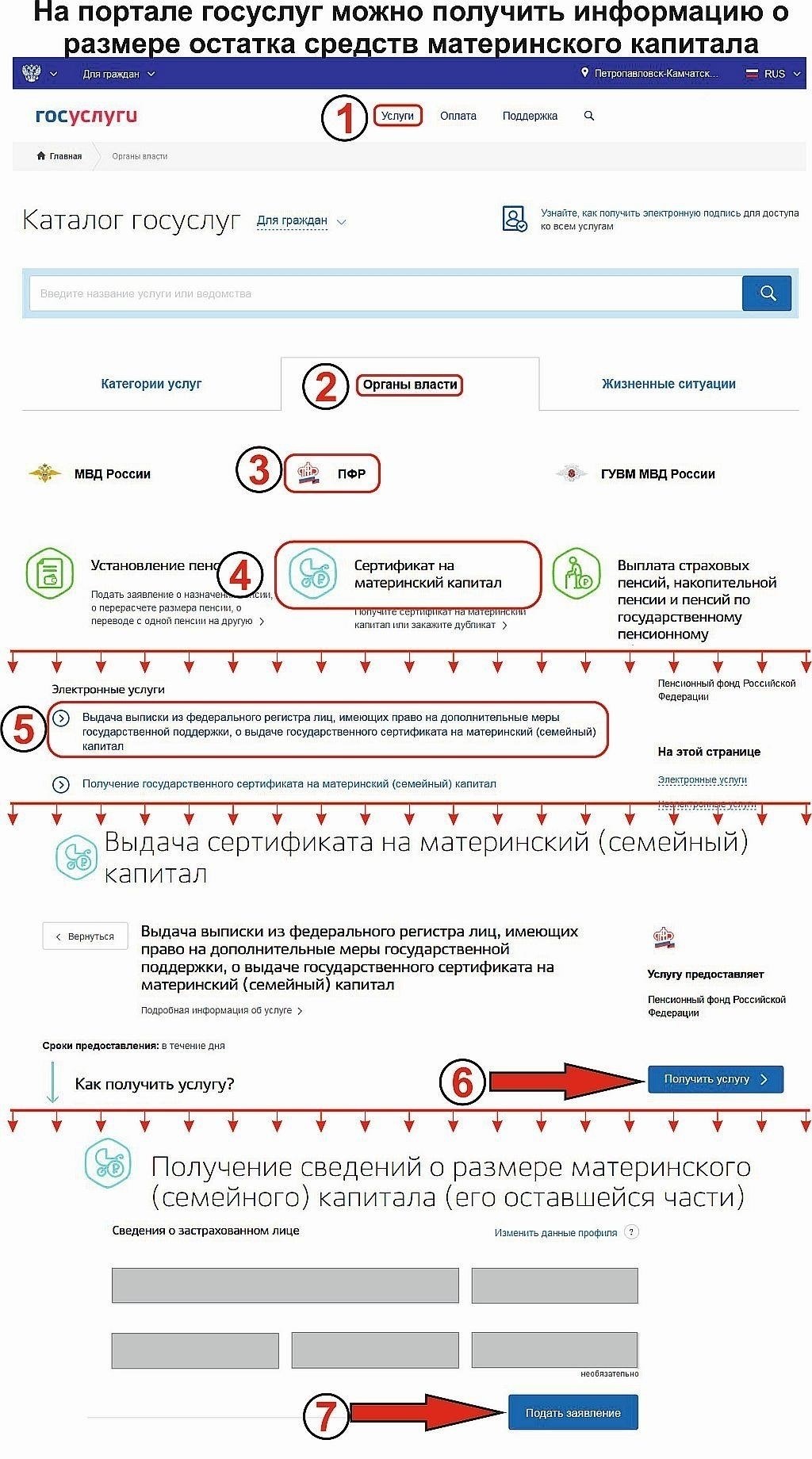 Проверка сертификата на материнский капитал онлайн через государственные службы