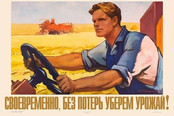 Как получить региональный статус