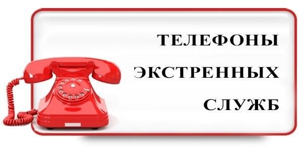 Как избежать штрафов и наказаний за нарушение учета?