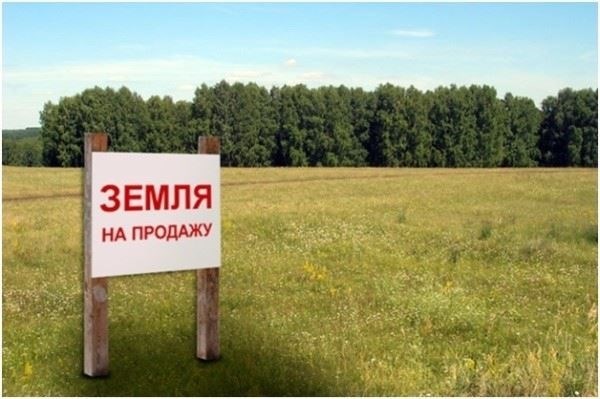 Стоимость земельного пая сельскохозяйственного назначения