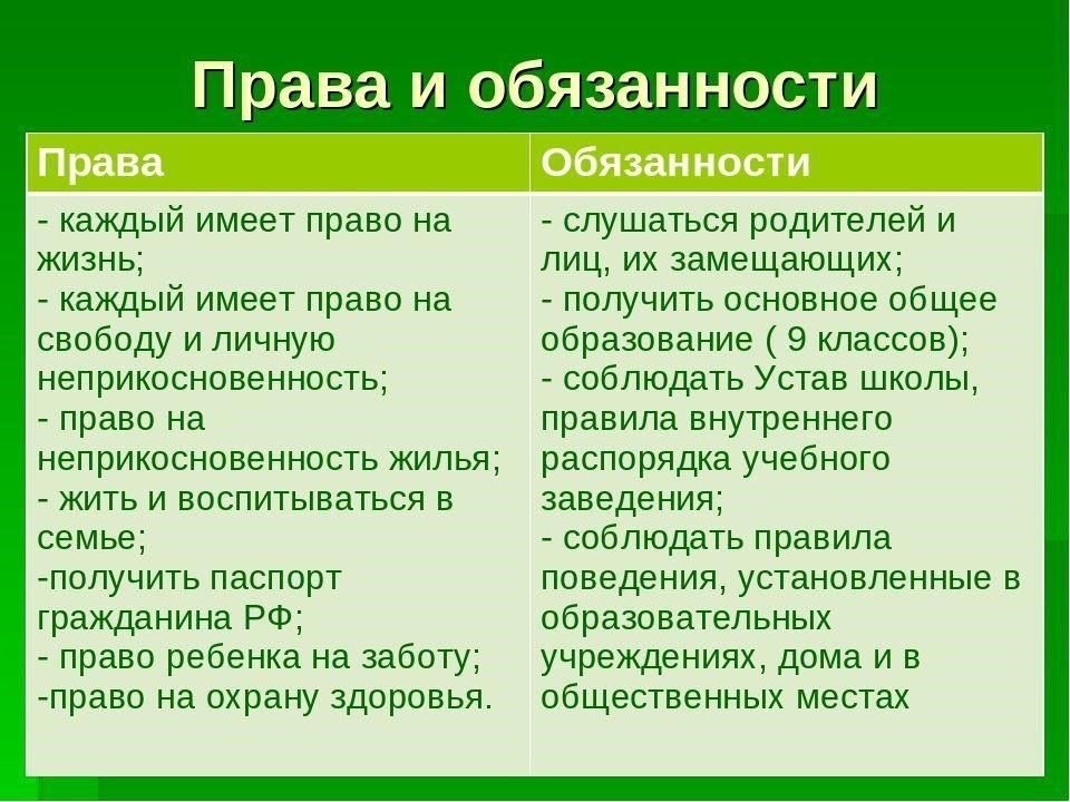 Статья 52: Основные права и обязанности граждан