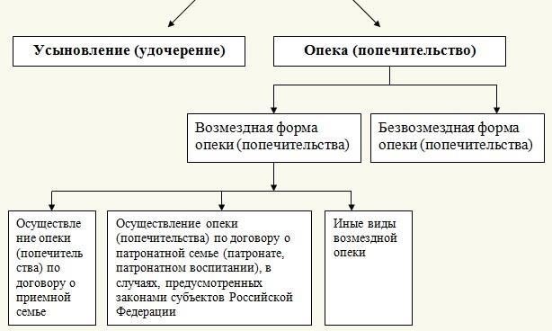 Требования к законным опекунам или представителям при сопровождении несовершеннолетних