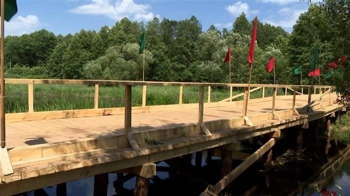 Влияние союзов на суверенитет и юридические обязательства по договорам