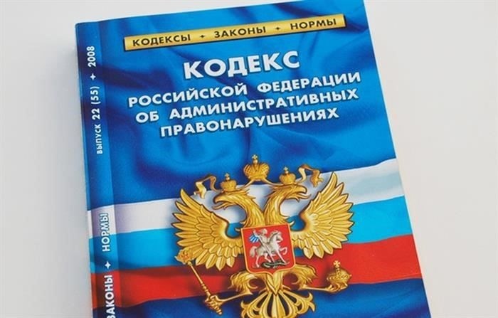 Основания для удовлетворения или отклонения ходатайства
