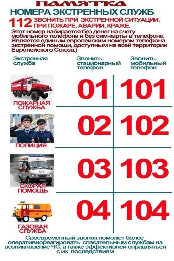 Вызовите полицию - контактные телефоны и порядок действий