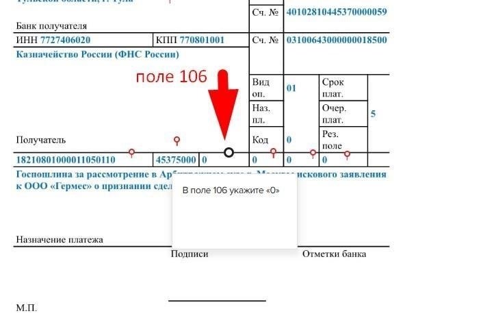 Заполнение поля 101 в платежной инструкции в 2025 году